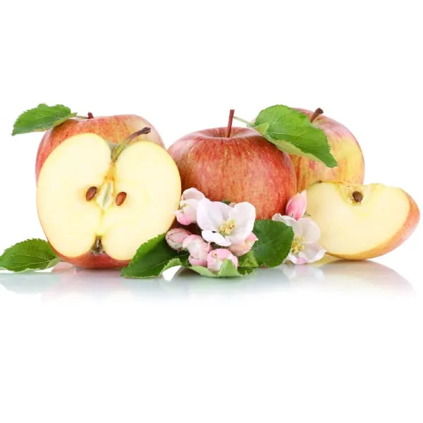 Apfel Boskoop