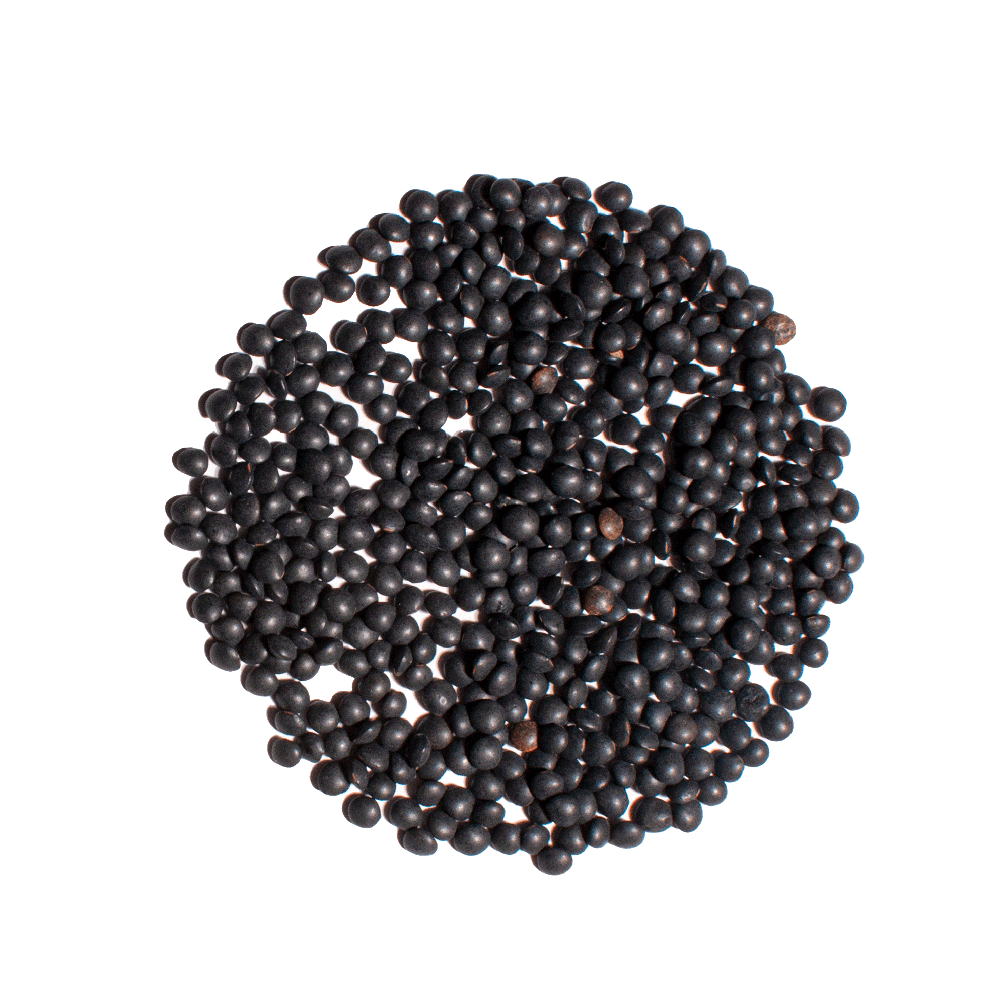 Linsen schwarz (Beluga) BIO 400 g
